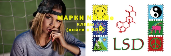 прущие грибы Абдулино