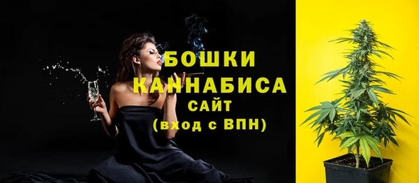 прущие грибы Абдулино