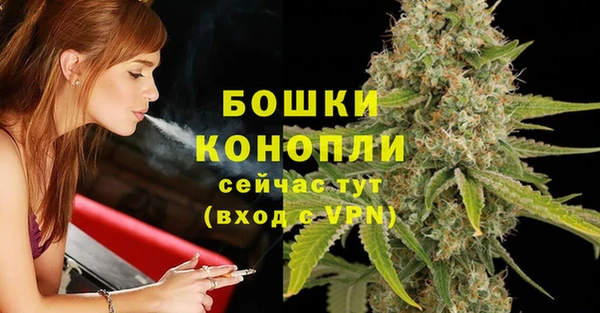 прущие грибы Абдулино