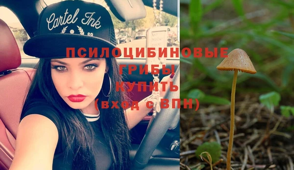 прущие грибы Абдулино