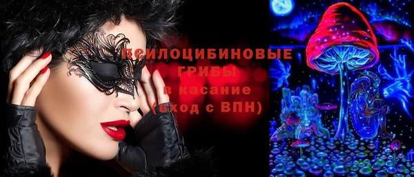 прущие грибы Абдулино
