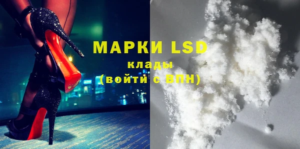 прущие грибы Абдулино